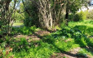 Nos prestations sur le secteur de au Mourillon à Toulon